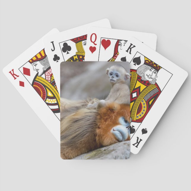 Golden Snub-nosed Monkey Dad with Baby Playing Cards (Back)