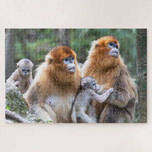 Golden Snub-nosed Monkey Family Jigsaw Puzzle