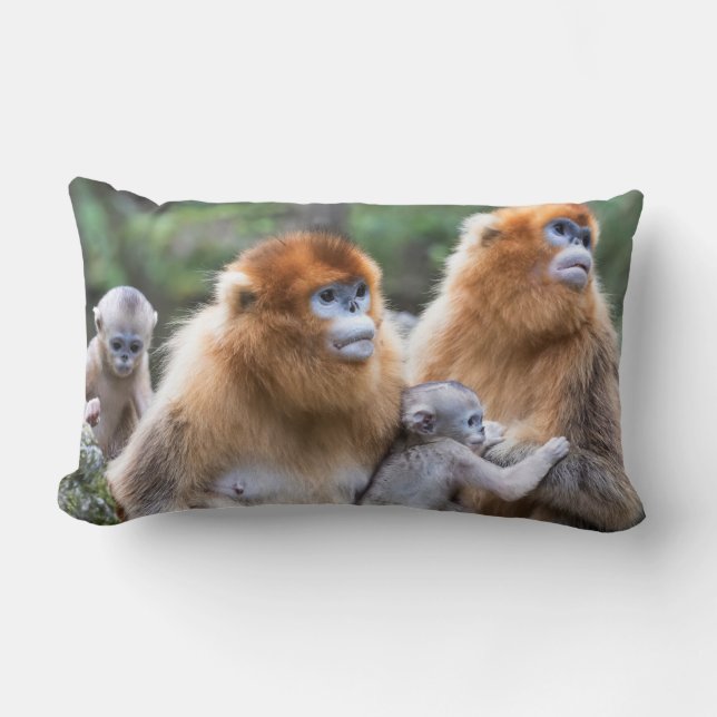 Golden Snub-nosed Monkey Family Lumbar Cushion (Front)