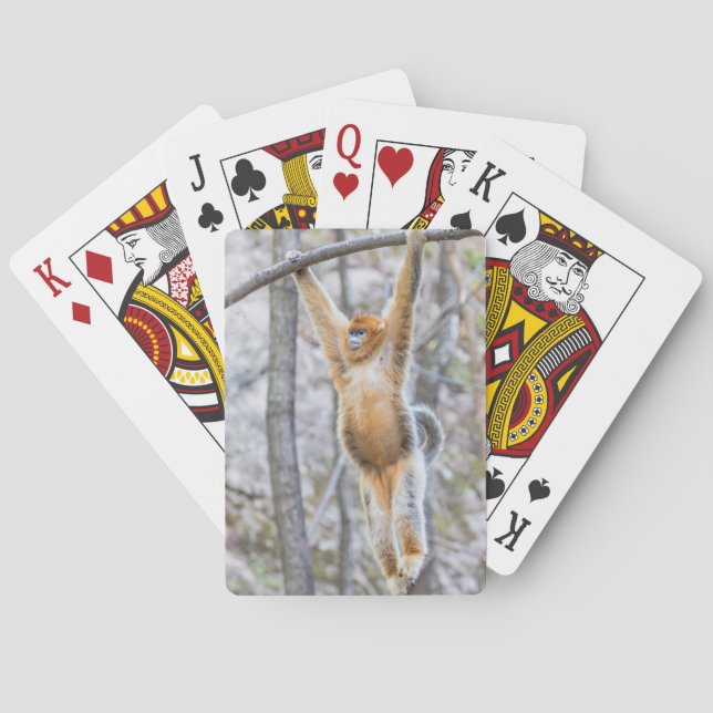 Golden Snub-nosed Monkey Swinging on Branch Playing Cards (Back)