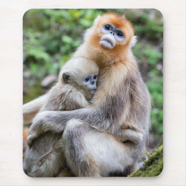 Golden Snub-Nosed Monkey with Baby Mouse Mat (Front)