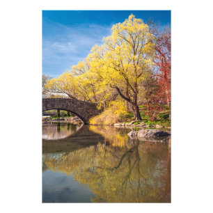 Golden Spring  Photo Print