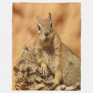 Golden Squirrel Fleece Blanket