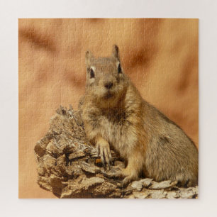 Golden Squirrel Jigsaw Puzzle