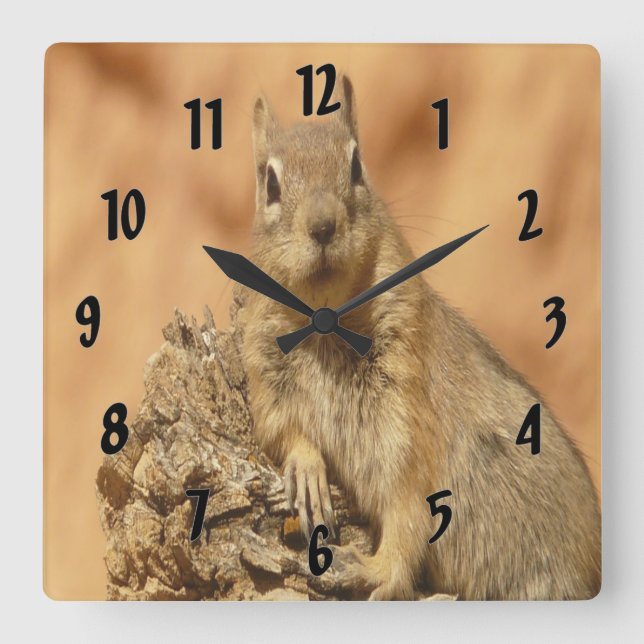 Golden Squirrel Square Wall Clock (Front)