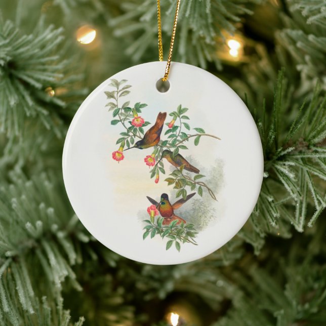 Golden Star-frontlet , tree Ceramic Tree Decoration (Tree)