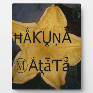 Golden Star Hakuna Matata Art Print Plaque
