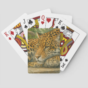 Golden Stillness – Resting Leopard in Foliage Playing Cards