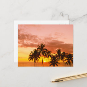 Golden Summer Sunrise Horizon Scenic Postcard