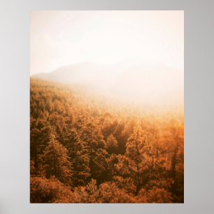 GOLDEN SUN OVER A FOREST POSTER