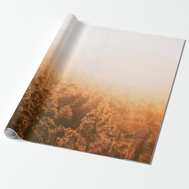 GOLDEN SUN OVER A FOREST WRAPPING PAPER (Unrolled)