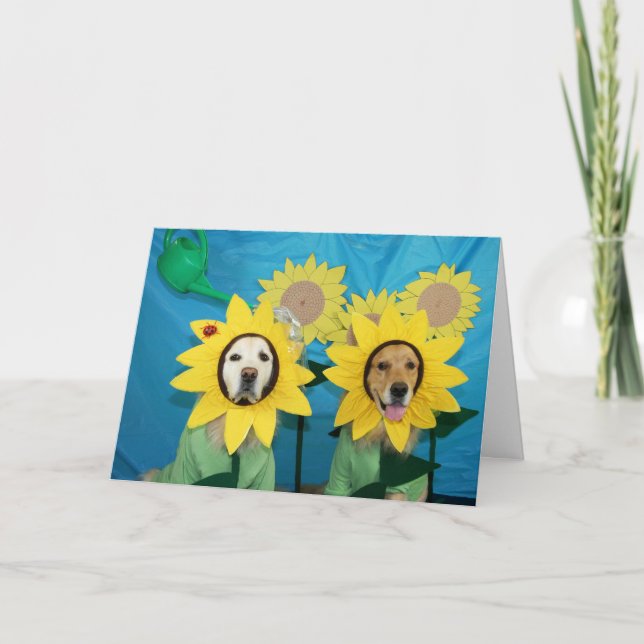Golden Sunflower Congratulations Card (Front)