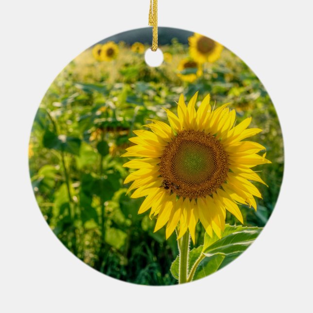 Golden Sunflower Field Ceramic Tree Decoration (Back)