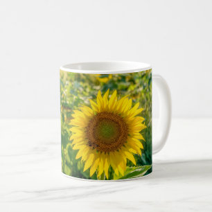 Golden Sunflower Field Coffee Mug
