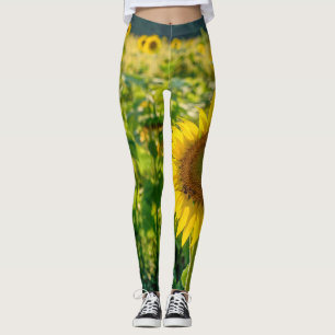 Golden Sunflower Field Leggings