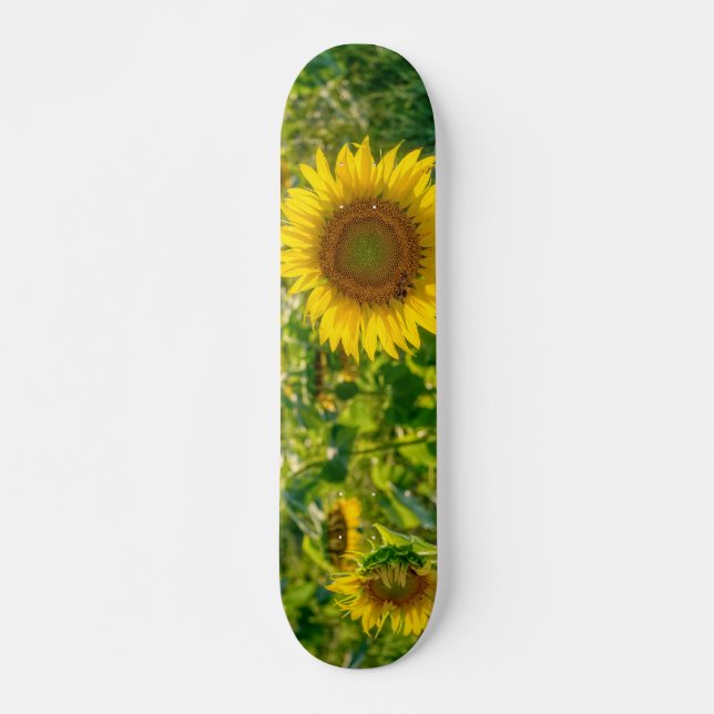 Golden Sunflower Field Skateboard (Front)