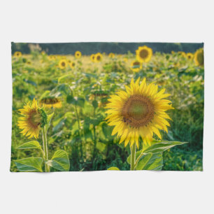Golden Sunflower Field Tea Towel