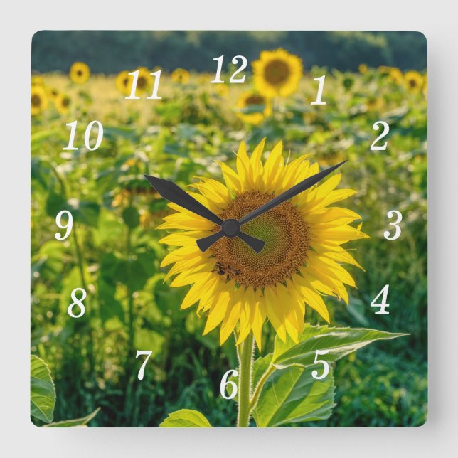 Golden Sunflower Field Wall Clock (Front)