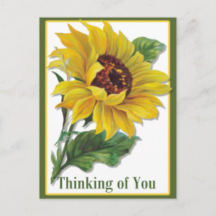 Golden Sunflower Postcard