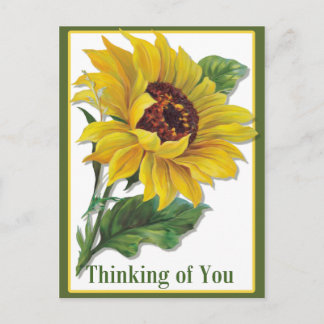 Golden Sunflower Postcard