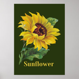 Golden Sunflower Poster