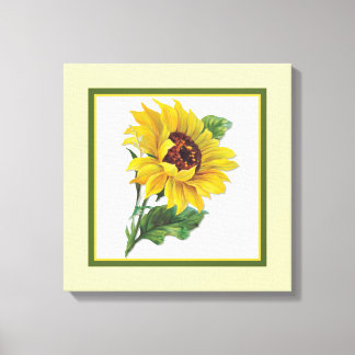 Golden Sunflower - Square Canvas Print