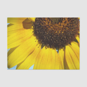 Golden Sunflower Tissue Paper