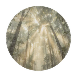 Golden Sunlight Beams Through Misty Tall Trees Cutting Board