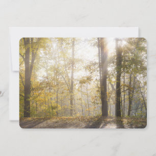 Golden sunlight through autumn trees holiday card