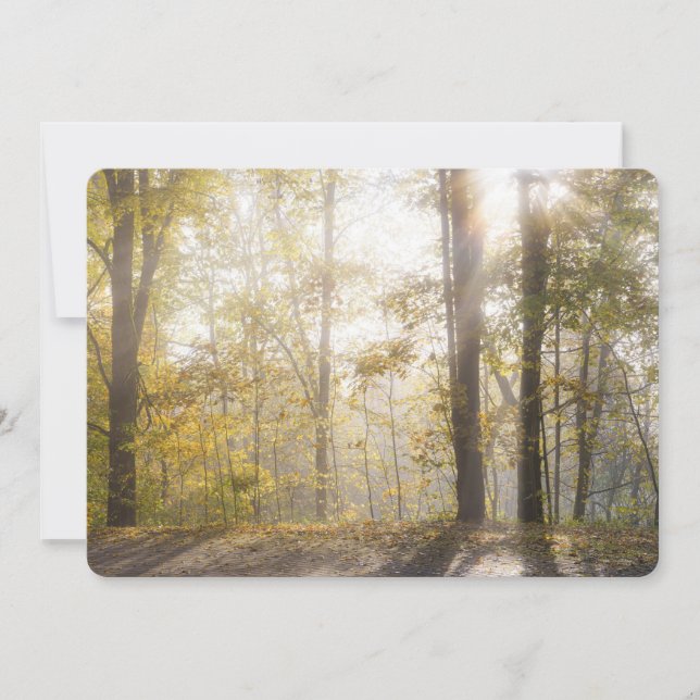 Golden sunlight through autumn trees holiday card (Front)