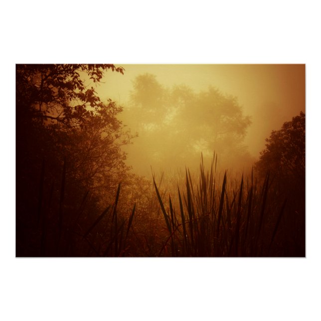 Golden Sunrise Landscape Poster (Front)