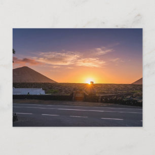 Golden Sunrise over Lanzarote Volcanic Vineyard Postcard