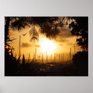 Golden Sunrise over the Harbour Poster