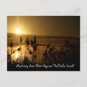 Golden Sunrise Postcard