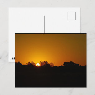 Golden Sunrise Postcard