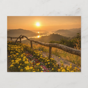 Golden Sunset Over Blooming Hills Postcard
