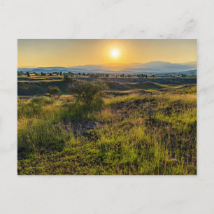 Golden Sunset Over Lush Forest Holiday Postcard