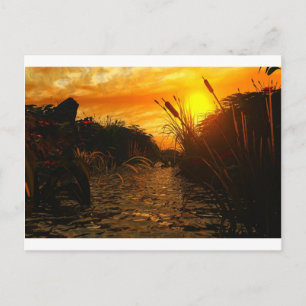 Golden Sunset Postcard