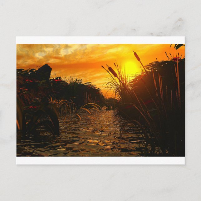 Golden Sunset Postcard (Front)