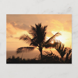 Golden Sunset Tropical Postcard