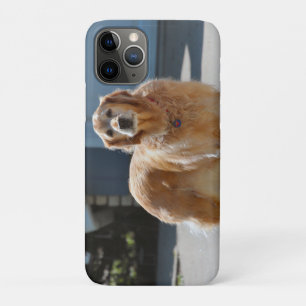 Golden Sunshine iPhone 11 Pro Case