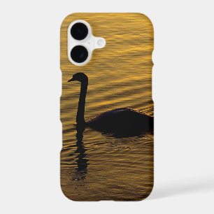 Golden Swan