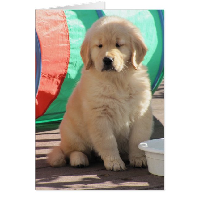 Golden Thinkin' (Front)