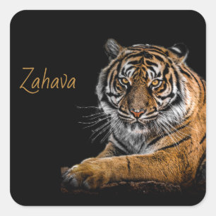 Golden Tiger Sticker