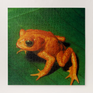 GOLDEN TOAD JIGSAW PUZZLE