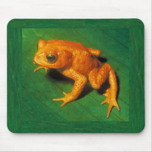 Golden Toad Mousepad