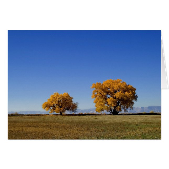 Golden Trees (Front Horizontal)