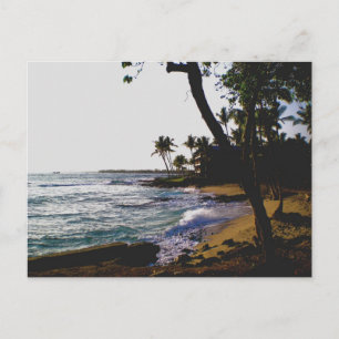 Golden Tropical Sand Postcard