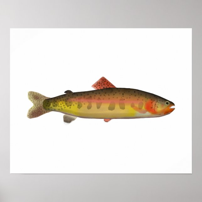 Golden Trout Poster (Front)