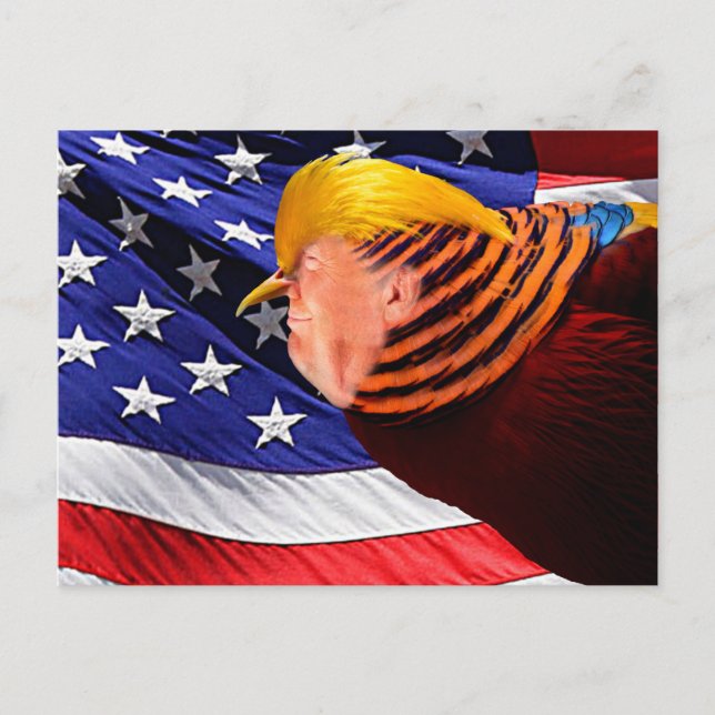 Golden Trump Bird USA Flag Postcard (Front)